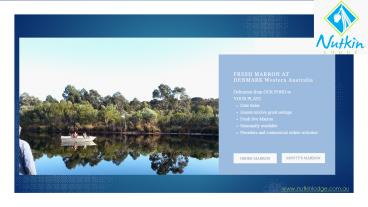 Nutkin Lodge - Fresh Marron