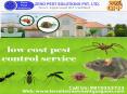 Are you looking for termite pest control services in Gurgaon PowerPoint PPT Presentation