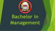 Bachelor in Management