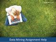 Online Data Mining Assignment Help -Data Research Assignment Help PowerPoint PPT Presentation