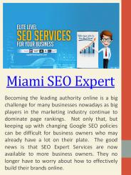Top SEO Experts Miami