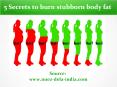 5 secrets to burn stubborn body fat PowerPoint PPT Presentation