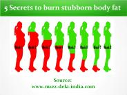 5 secrets to burn stubborn body fat
