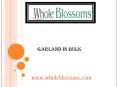 Garland in Bulk - www.wholeblossoms.com PowerPoint PPT Presentation
