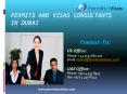 Overview of the Visa Consultancy Services of Permits and Visas PowerPoint PPT Presentation