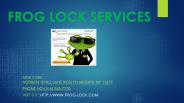 frog lock services
