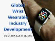 Global Wrist Wearable Industry Development