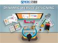 Dynamic Website Designing Company 011-64556400 PowerPoint PPT Presentation