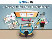 Dynamic Website Designing Company 011-64556400