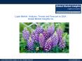 Lupin Market Applications, share, Regional Outlook & Competitive market space, 2017-2024 PowerPoint PPT Presentation