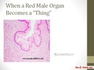 When a Red Male Organ Becomes a “Thing”
