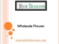 Wholesale Flowers – Whole Blossoms (4) PowerPoint PPT Presentation