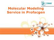 Molecular Modeling Service in Profacgen
