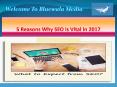 5 Reasons Why SEO is Vital in 2017 PowerPoint PPT Presentation