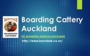Barndale Boarding Cattery Auckland