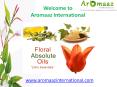 Pure Essential Oils @ aromaaz International PowerPoint PPT Presentation