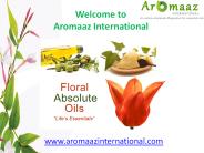 Pure Essential Oils @ aromaaz International