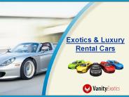 Exotics and Luxury Rental Cars