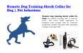 Remote dog training shock collar for dog - Pet behaviour PowerPoint PPT Presentation