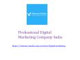Professional Digital Marketing Company India PowerPoint PPT Presentation