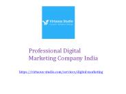 Professional Digital Marketing Company India