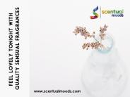 Incense sticks burners