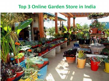 Top 3 Online Garden Store in India