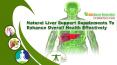 Natural Liver Support Supplements To Enhance Overall Health Effectively PowerPoint PPT Presentation