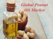 Global Peanut Oil Market