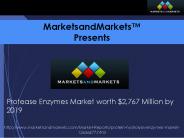 Protein Hydrolysis Enzymes Market