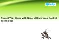 Protect Your Home with General Cockroach Control Techniques (1) PowerPoint PPT Presentation
