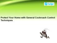 Protect Your Home with General Cockroach Control Techniques (1)