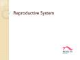 Reproductive System PowerPoint PPT Presentation