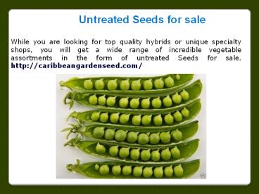 Buy Plant Seeds Online (1)