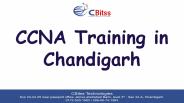 CCNA Training in Chandigarh
