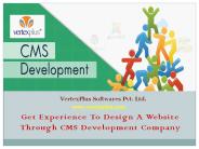 CMS Development Services through VertexPlus