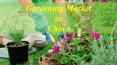 Gardening Market in China PowerPoint PPT Presentation