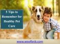 5 Tips to Remember for Healthy Pet Care PowerPoint PPT Presentation