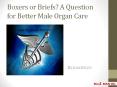 Boxers or Briefs? A Question for Better Male Organ Care PowerPoint PPT Presentation
