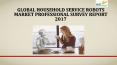 Global household service robots market professional survey report 2017 PowerPoint PPT Presentation