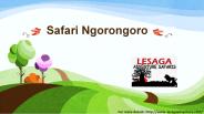 Safari Ngorongoro