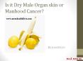 Is it Dry Male Organ skin or Manhood Cancer? PowerPoint PPT Presentation