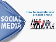 Promote your product online (1)