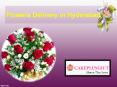 Flowers Delivery in Hyderabad | Midnight Flowers Delivery Hyderabad PowerPoint PPT Presentation