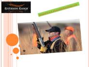 European Pheasant Hunt