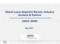 Global Lupus Nephritis Market: Industry Analysis & Outlook (2021-2030) PowerPoint PPT Presentation