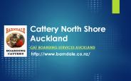 Cattery North Shore Auckland