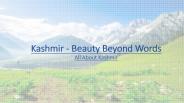 Kashmir Travel Guide