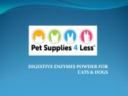 Digestive Enzyme for Dogs
