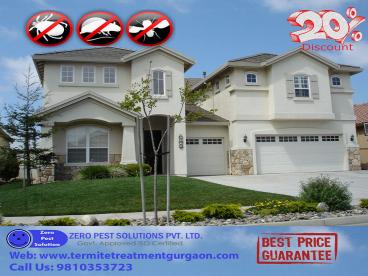 Termite Treatment Gurgaon Get 20% Discount at our services